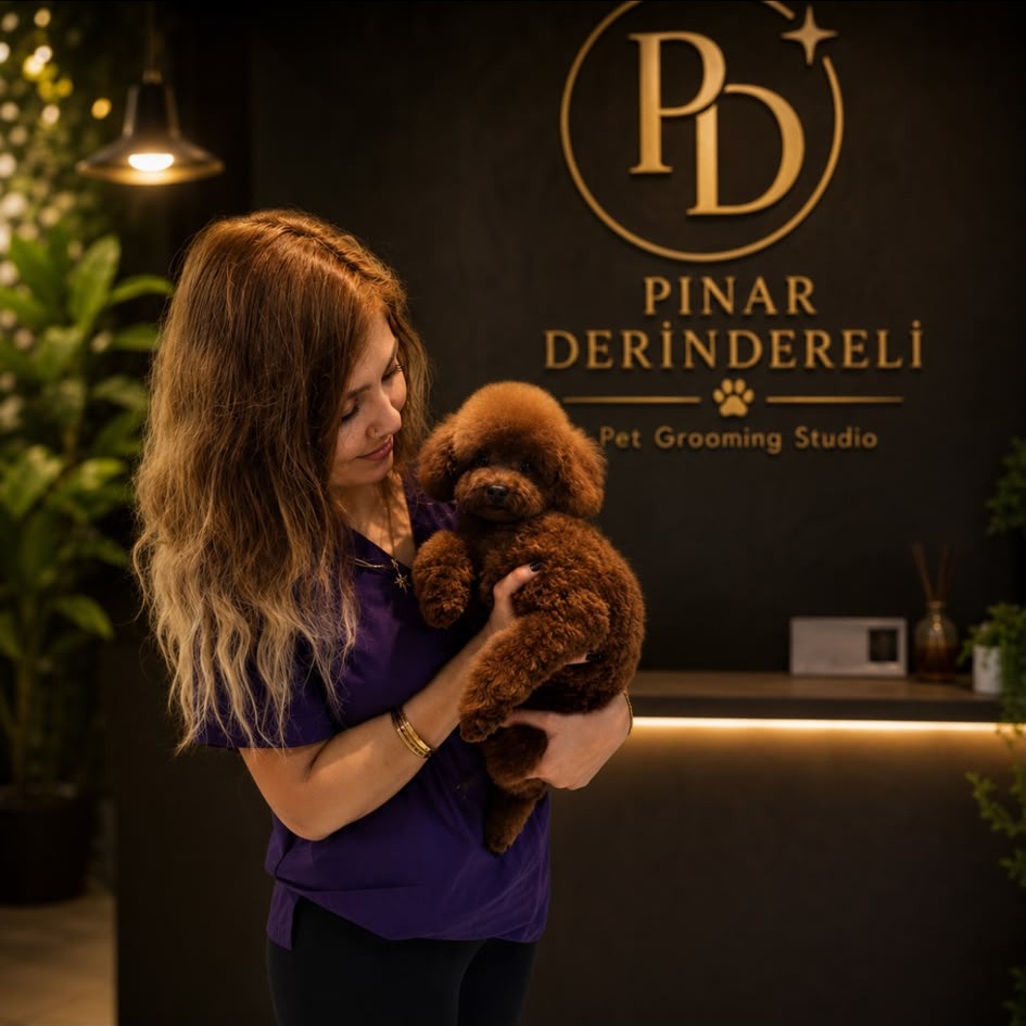 Pınar Derindereli kucağında sevimli Toy Poodle ile salon içerisinde