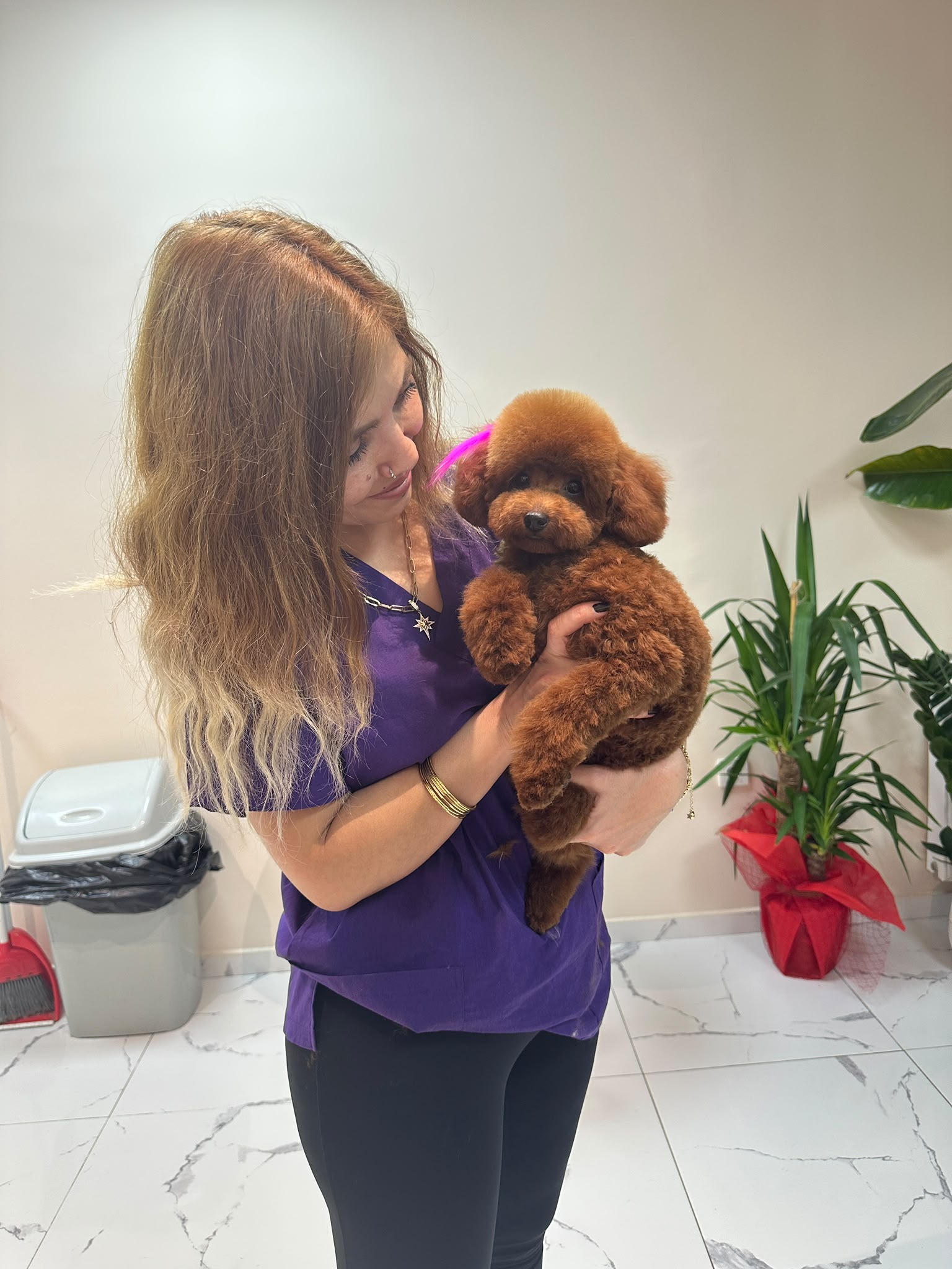 Pınar Derindereli kucağında kahverengi Toy Poodle ile bakım sonrası poz