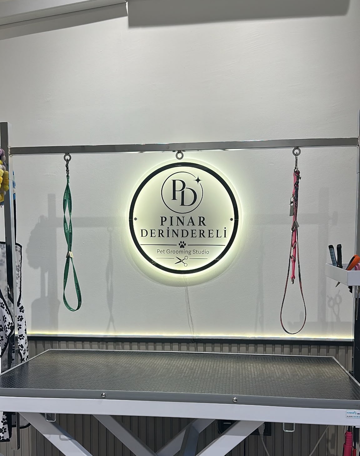 Pınar Derindereli Pet Grooming Studio ışıklı duvar logosu ve masası