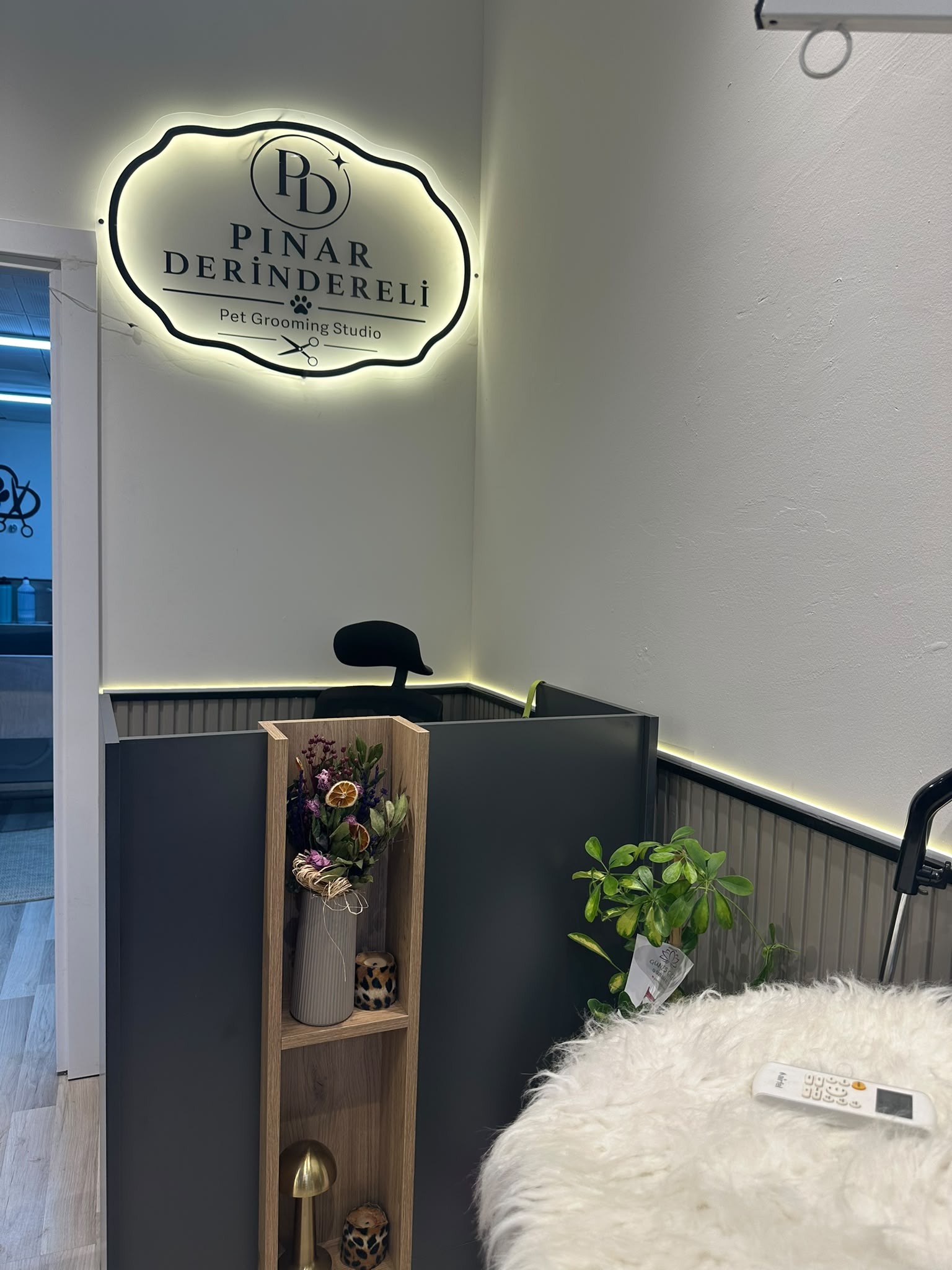 Pınar Derindereli Pet Grooming Studio ahşap çıtalı ışıklı logo resepsiyon alanı